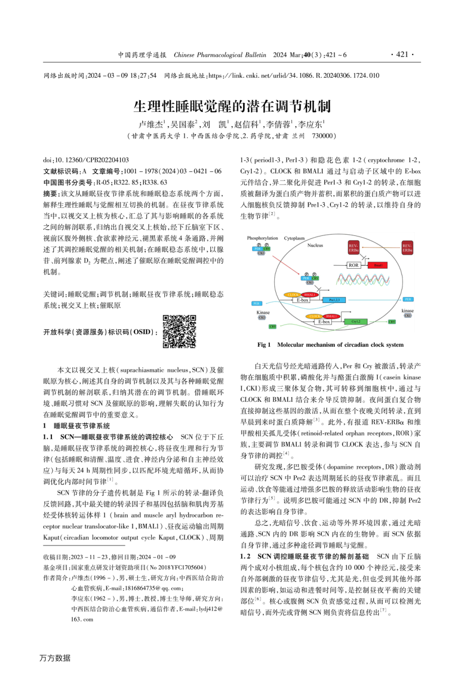 生理性睡眠觉醒的潜在调节机制.pdf_第1页